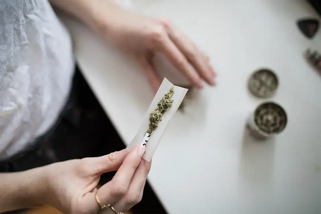 Close Up of A Woman Rolling A Pre-Roll