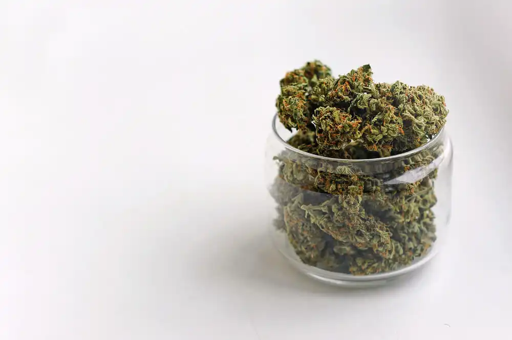 Cannabis buds in a glass jar