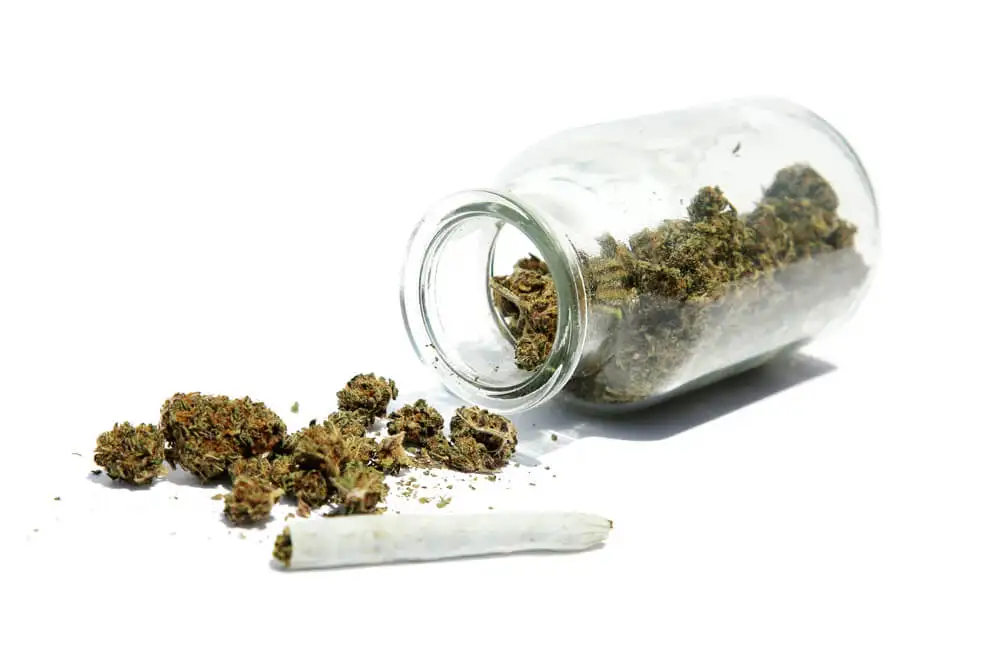 Cannabis strain