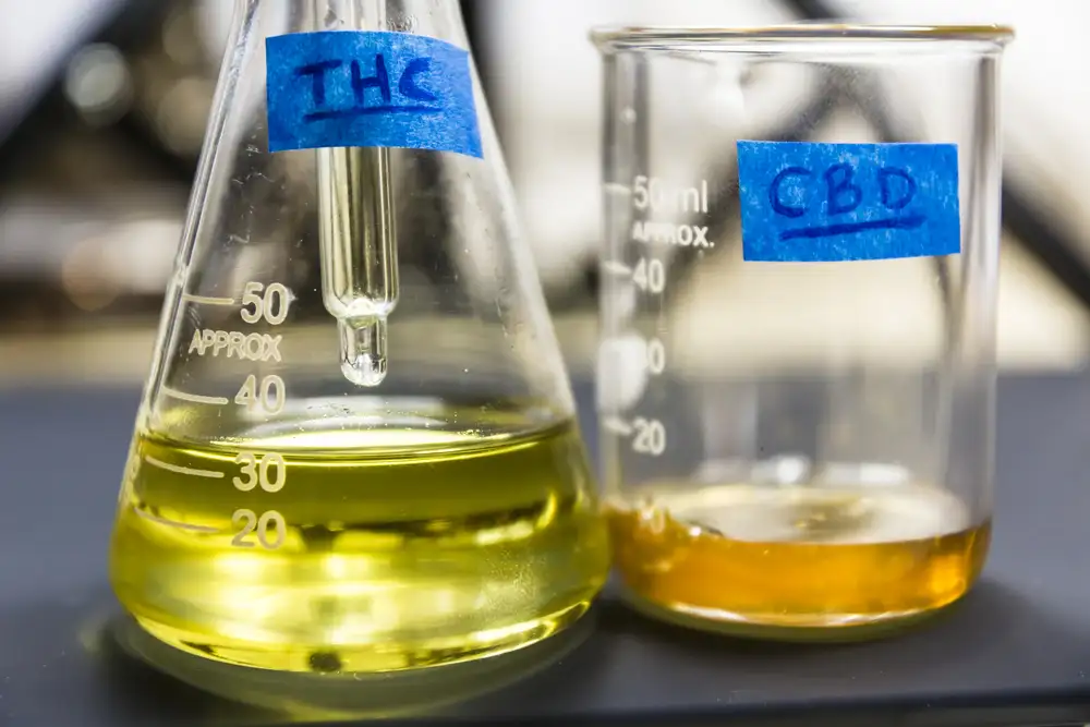 THC and CBD Cannabis Oil
